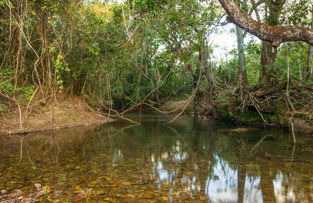 Pousada Camping das Aguas-1